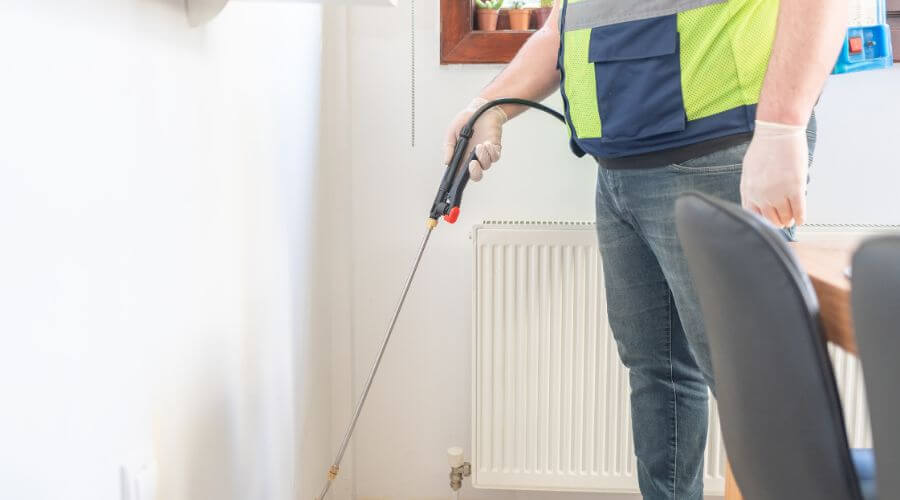 Professional rodent control services savannah, ga services in Savannah